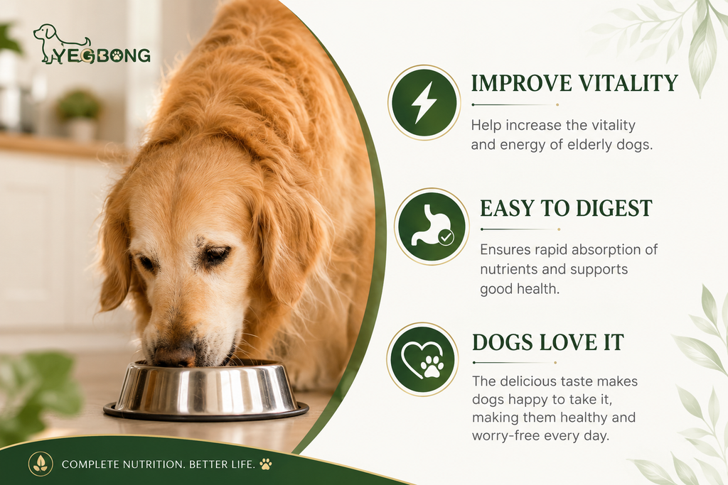 Senior Dog Multivitamin Chews – Daily Support for Immunity, Eyes, Skin & Bones, 80 Tablets