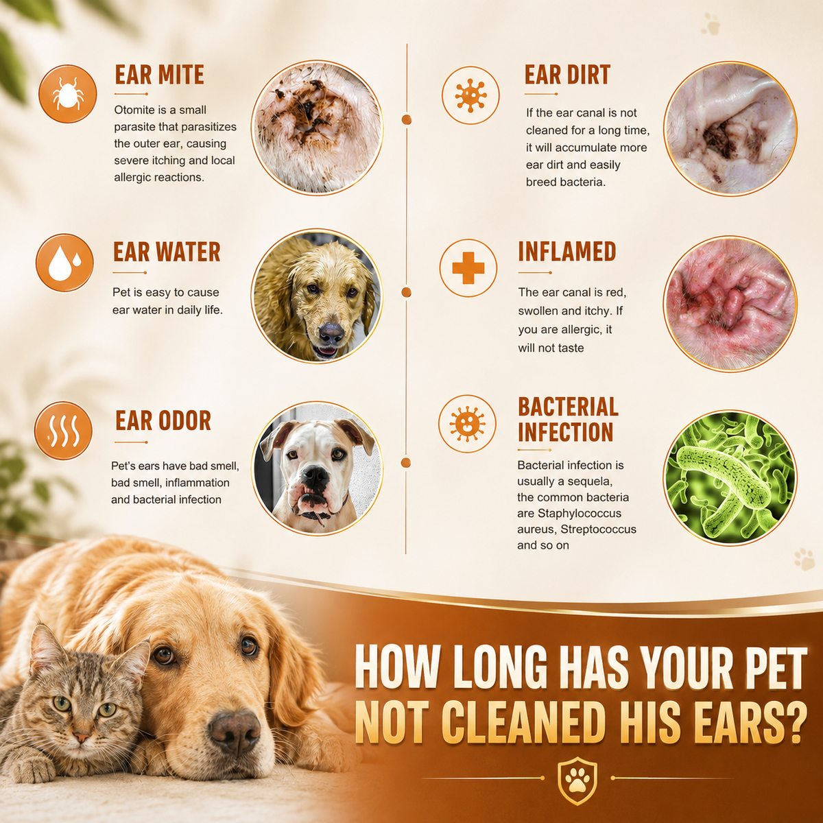 Pet Ear Cleaner Drops, Dog & Cat Ear Care Solution With Aloe, Glycerin & Tea Tree Oil, Gentle Ear Cleanser For Removing Dirt, Odor & Mites, 50ml